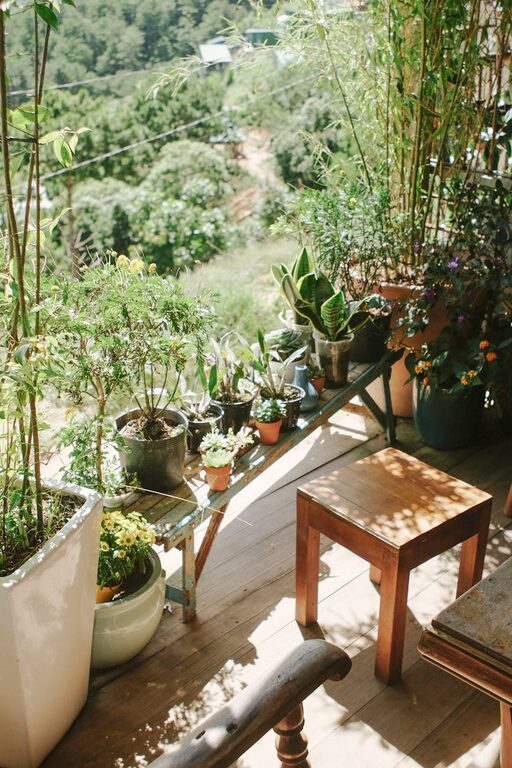 How to Create a Relaxing Home Garden Space for Peace and Calm